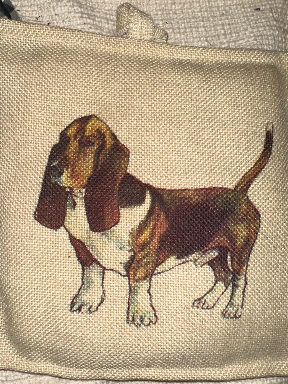 Adorable 
Basset Hound potholder